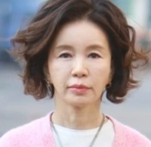 임예진-이미지