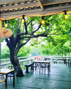 박원숙-남해-카페