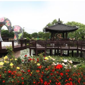 곡성-장미-축제-이미지