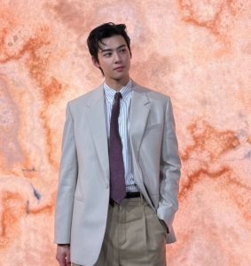 차은우 이미지