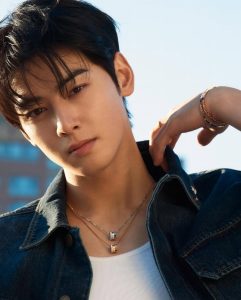 차은우-이미지