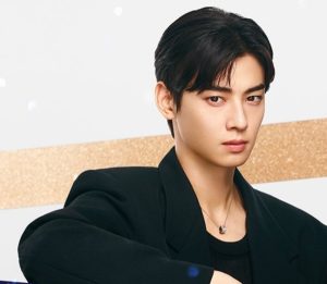 차은우-이미지