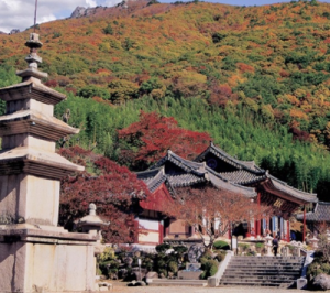 밀양 표충사 -이미지