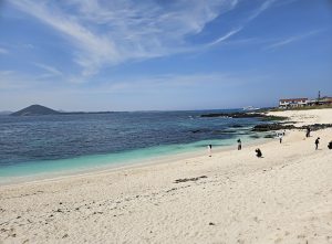 서빈 백사-이미지